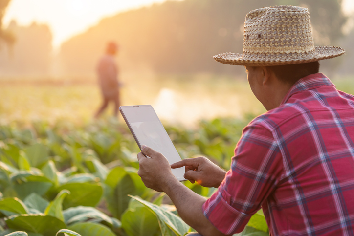 Agro BBTS Ã© destaque em GoiÃ¡s e Tocantins